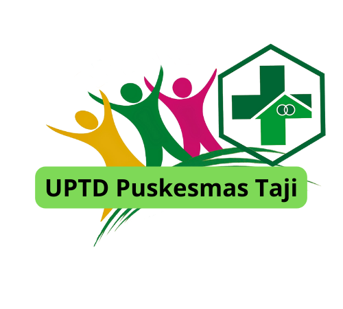 pelatihan wordpress